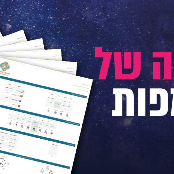 חבילה 20 מפות