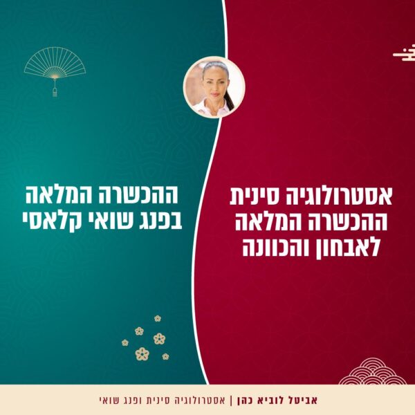 קורסים פרונטלים