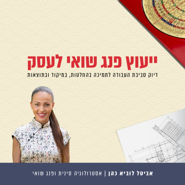 ייעוץ פנג שואי לעסק - עד 4 עובדים
