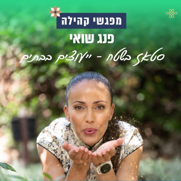 ייעוץ פנג שואי בבתים בהנחה